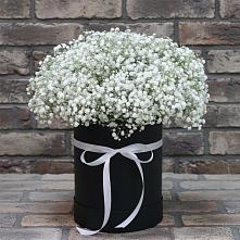 Цветочная композиция из Гипсофила в шляпной коробке в Мельчевке