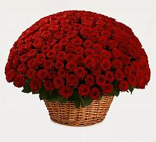 Премиум букет из: Розы в Мельчевке