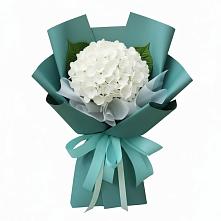 Букет цветов из:  Гортензия #REPLACE_PRED# Мельчевке